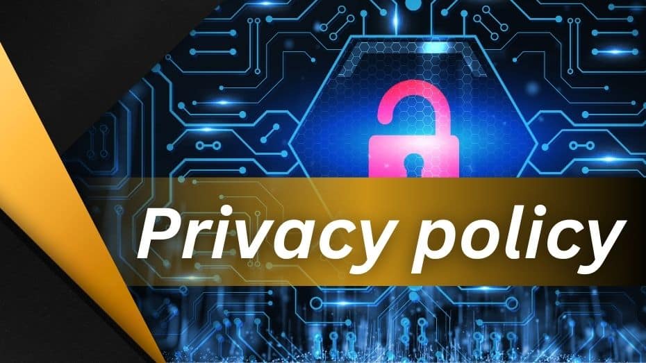 Panaly999 Privacy Policy